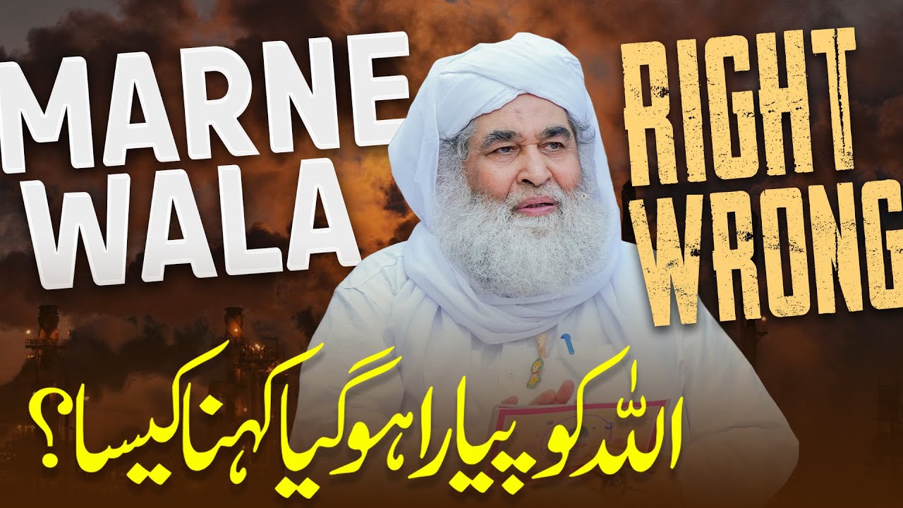 Marne Wala ALLAH Ko Piyara Ho Gaya Kehna Kaisa? | ALLAH Kay Bare Main Aqeeda | Maulana Ilyas Qadri